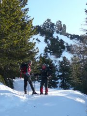 nel bosco dell'allevè
