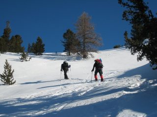 Salendo nel bosco dell'Allevè