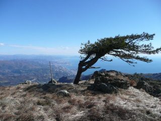 Wind effect !!!