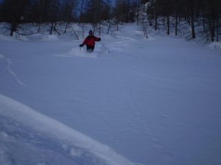 Bosco inferiore.. le ultime curvette