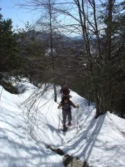 primo tratto, nel bosco fitto