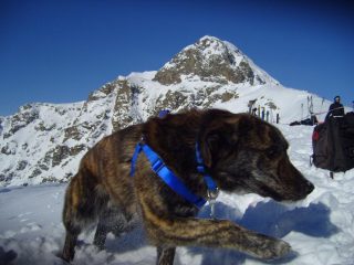 ACETO con dietro Mucrone