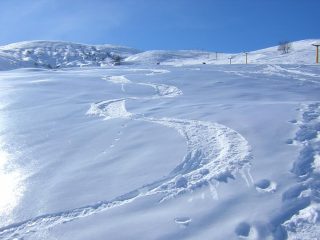 tracce nel vetro