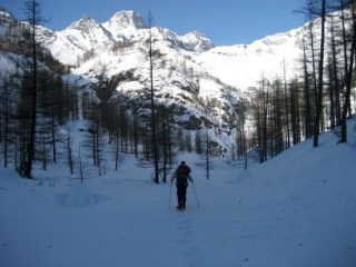 Il grande nord è in Valle d'Ala