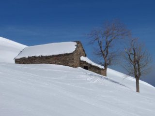 Baita