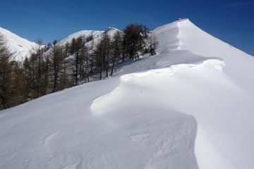 Tratto di dorsale