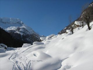 Alpe sorba
