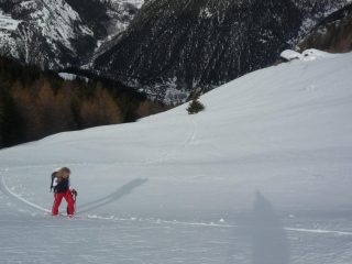 Alpe Verney 