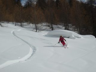 Le radure di Arpisson