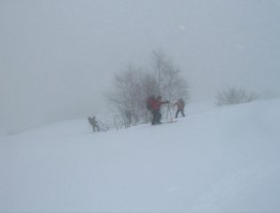 nebbia