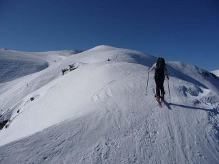 Dorella (foto Paolo)