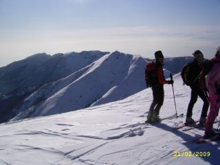 si studia il cristetto