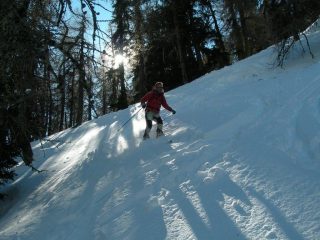 nel bosco