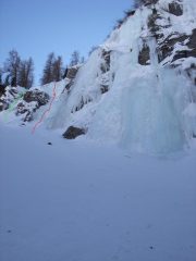 Goulottina