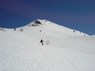 splendido firn