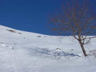 Quasi in cima