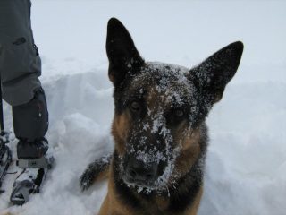 Febo guarda incredulo...