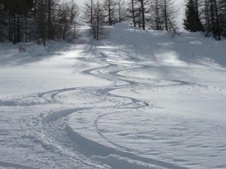 Boschetto sopra Chabaud