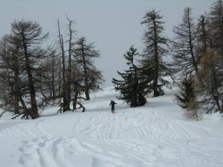 Nei pressi della cima