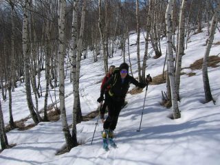 il tratto iniziale nel bosco ormai scarsamente innevato