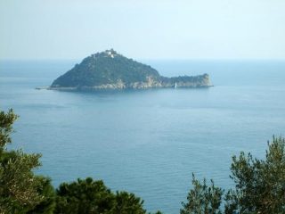 L'isola Gallinara