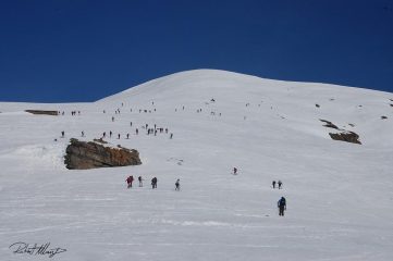 non c'era nessuno oggi al soglio. 