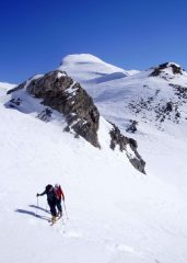 Camosci su Cima Bozano