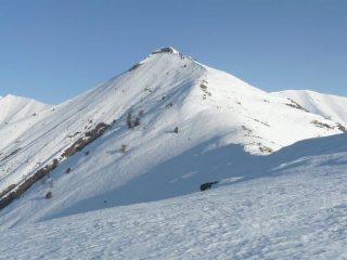 la merla dal ripetitore