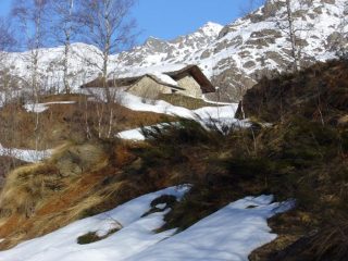 La primavera incalza