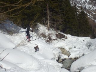 Salendo su alveo del torrente
