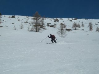 ottimo firn