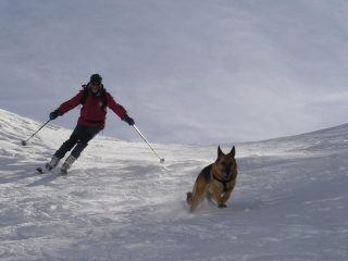 la gara