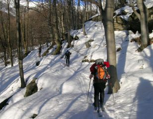 Faggeta in salita