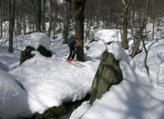 discesa in faggeta