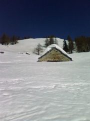 Ultimo alpeggio