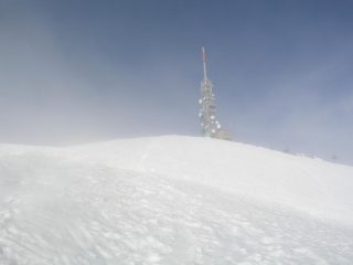 quasi cima
