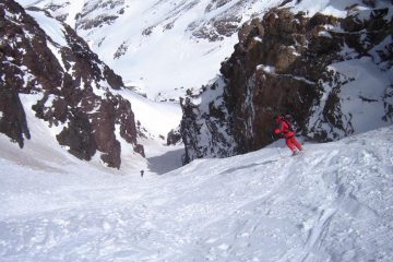 tizi afella