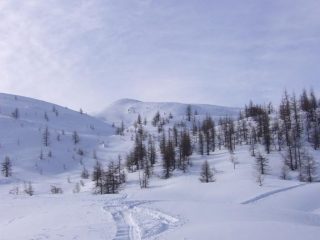 Salendo alla Falinere