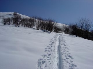 Si abbandona il bosco