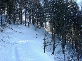 Si sale nel bosco