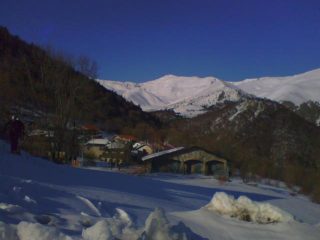 Dall'auto