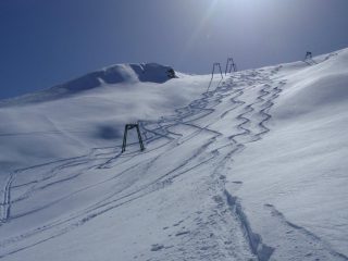 Che farina!