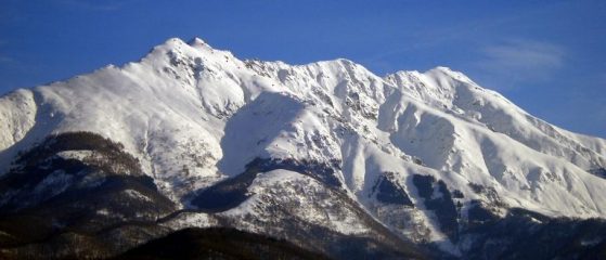 Bisalta