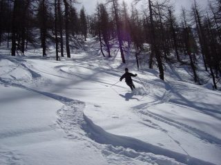 Solo tutta farina