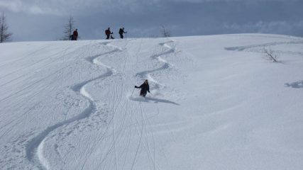  l'ultimo pendio prima di rientrare nel bosco