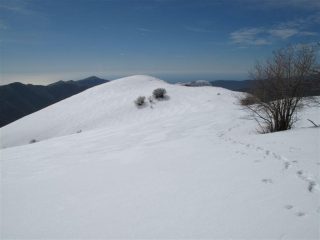 Dorsale tra Alpe di Baudo e dorsale del Carpasina