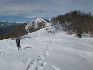 Passo Teglia e dietro il Carmo dei Brocchi