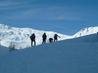 arrivando al sole