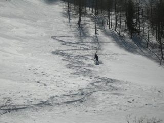 neve variabile