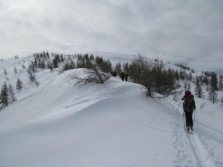 In vista della Cima uscendo dal bosco.